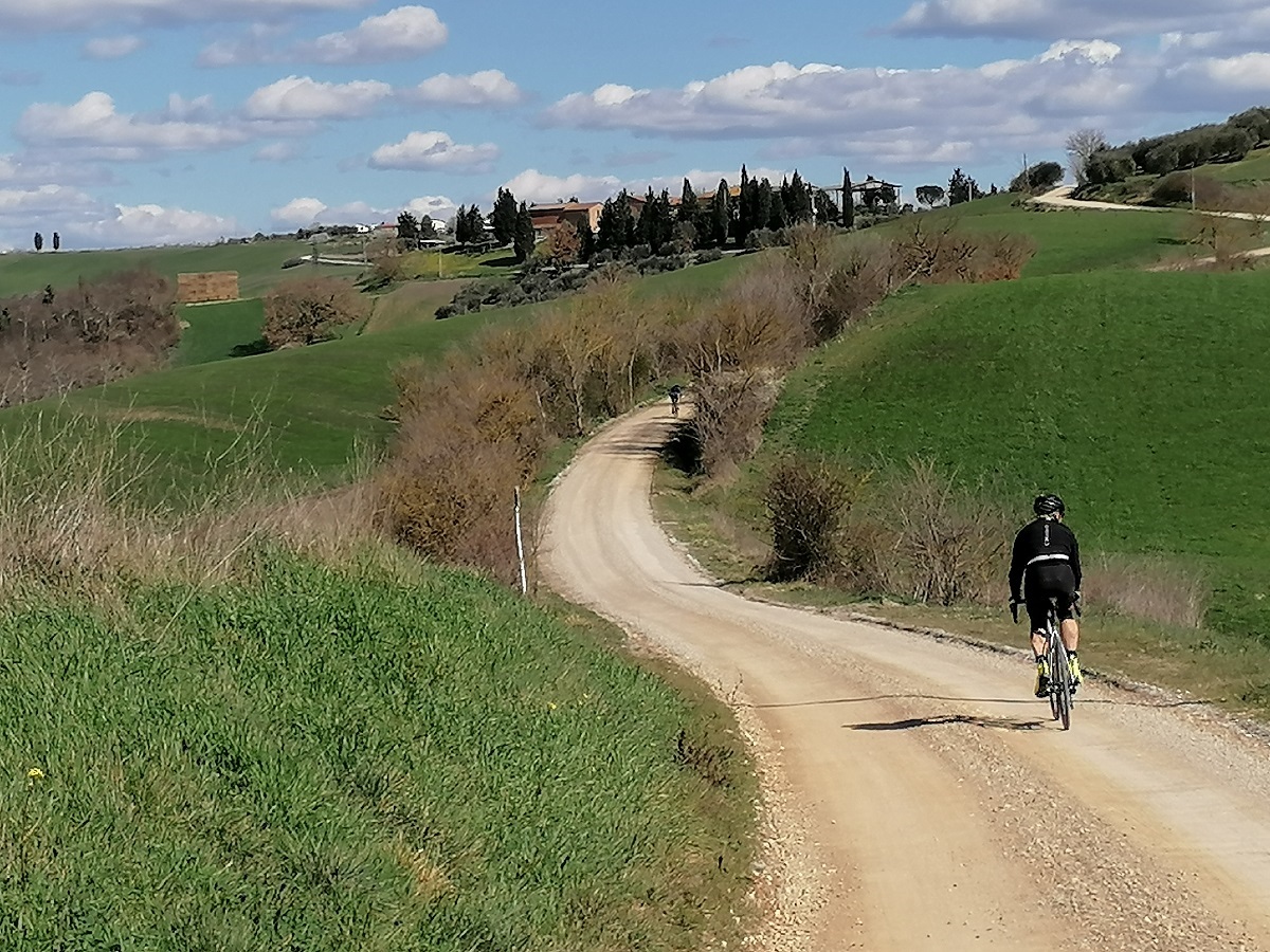 Tour in bici di gruppo da Siena Anima Toscana Bike Tours